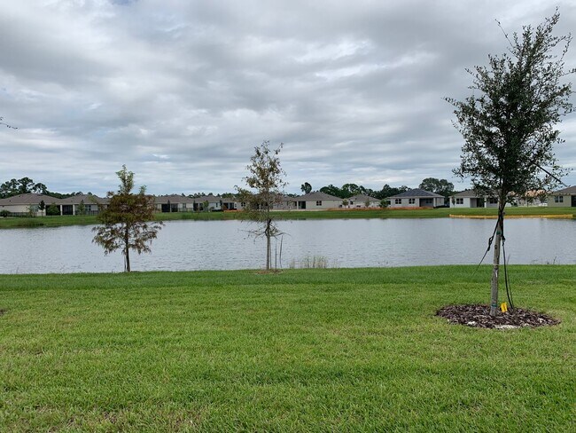 Foto del edificio - 17841 Blazing Star Cir Clermont, FL  34714...
