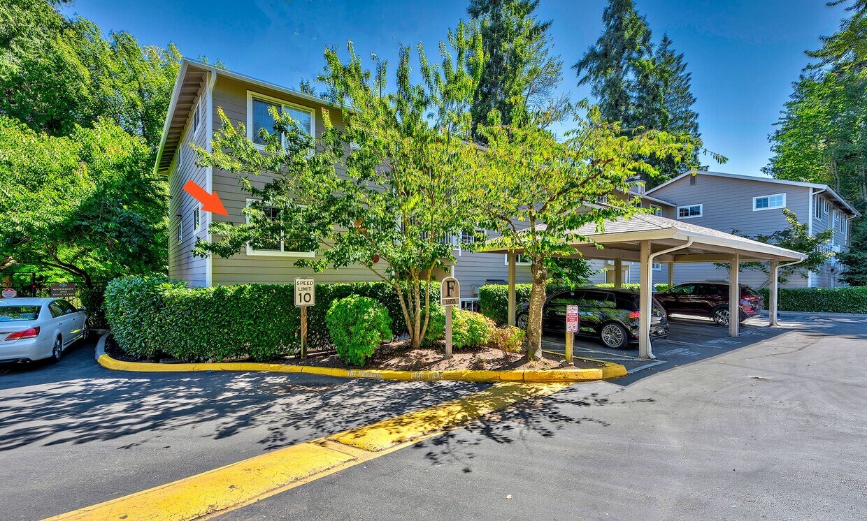 Echo Lake One Bedroom - Echo Lake One Bedroom