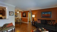 This single-floor space makes a bold visual statement with its rich, warm terracotta-toned accent walls that create an inviting and energetic ambiance throughout. The open-concept layout seamlessly connects the living and dining areas, promoting a sense of flow and togetherness.

The living area features dark hardwood flooring that contrasts beautifully with the warm wall tones, complemented by a decorative area rug that anchors the space. Crown molding runs along the ceiling, adding a refined architectural touch, while a textured ceiling further enhances the character of the room. Framed artwork adorns the walls, contributing to the space's curated, homey feel.

The dining area is defined by a ceiling fan with a light fixture overhead, providing both ambiance and practical ventilation. A round glass-top dining table with ornate metal chairs sits comfortably in this area, making it ideal for intimate gatherings.

A hallway leading off the main living space suggests additional rooms beyond, hinting at a thoughtful and functional floor plan. Throughout the space, the interplay of warm tones, dark wood floors, and tasteful décor elements creates an atmosphere that is both cozy and stylish — a welcoming environment suited for everyday living and entertaining alike.