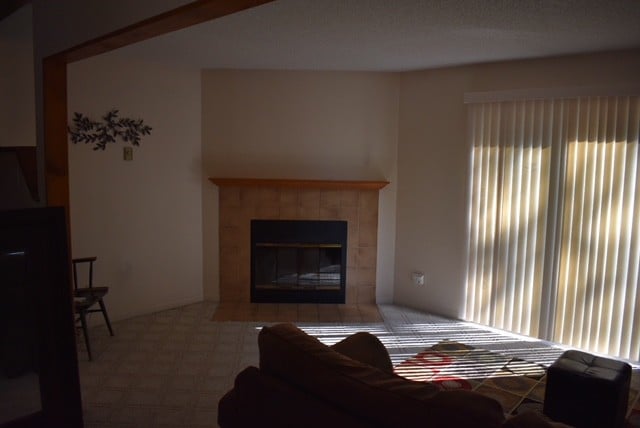 Fireplace - 745 Merrow Rd