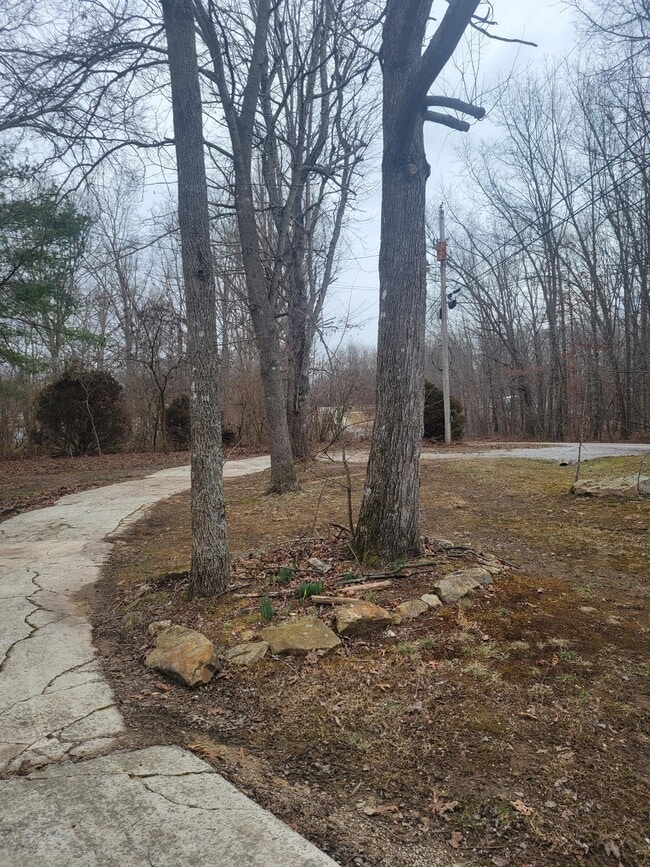 Building Photo - 71 Fox Den Ln