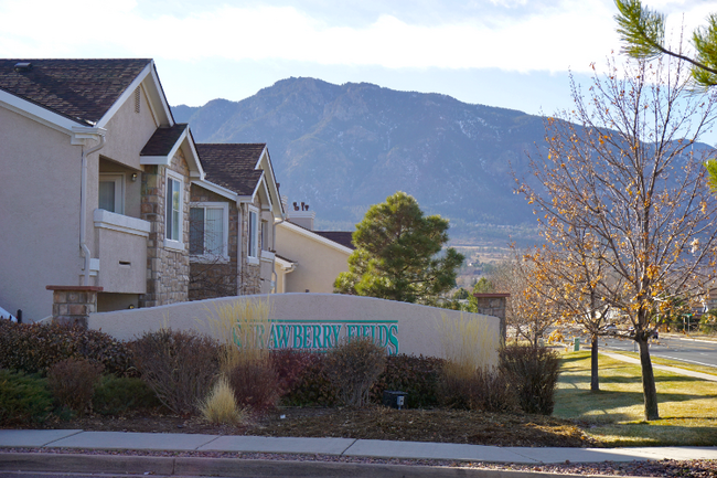 Building Photo - 3670 Strawberry Field Grove