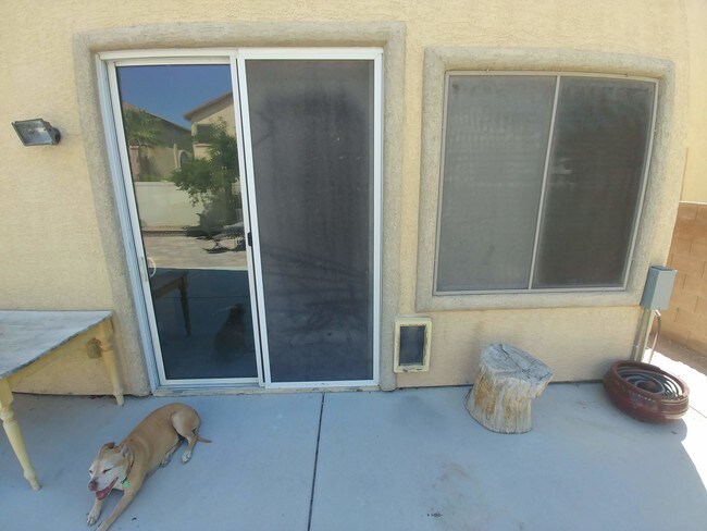 6345 Novak St Las Vegas Nv 89115 House For Rent In Las Vegas
