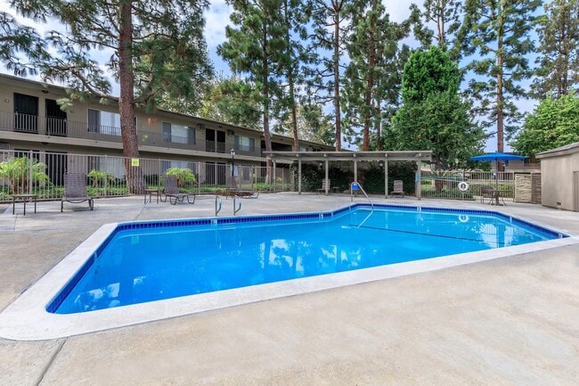 Building Photo - Saddleback Pines Apartment Homes