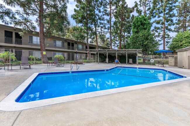 Foto del edificio - Saddleback Pines Apartment Homes