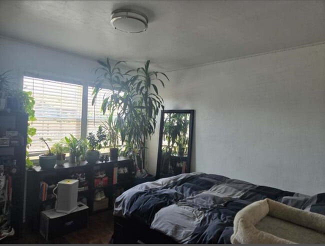 Building Photo - 559 Duboce Ave