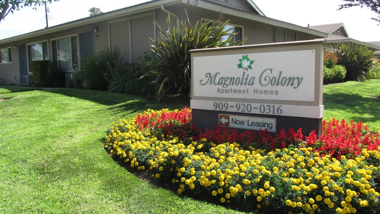 Foto principal - Magnolia Colony Apartments.