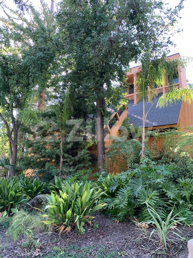 Foto del edificio - 3152 W Los Altos Ave