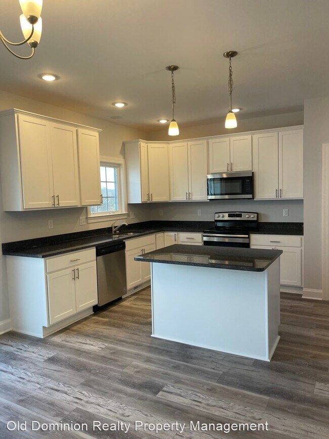Foto del edificio - 3 br, 2.5 bath House - 1115 Bluemoon Drive