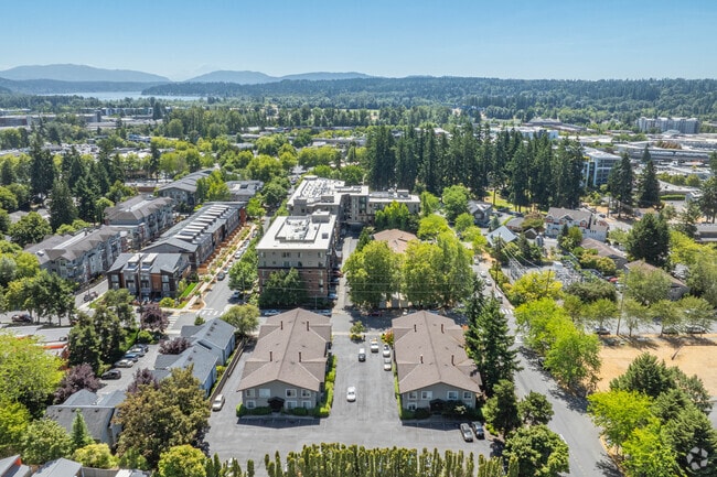 Aerial - Quiet Family-Friendly Living In Downtown R...