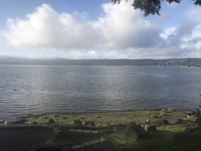 Foto del edificio - Beautiful Tracyton Studio