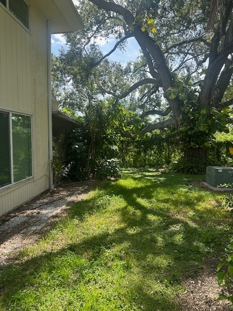 Side yard of home - 310 Barlow Ave