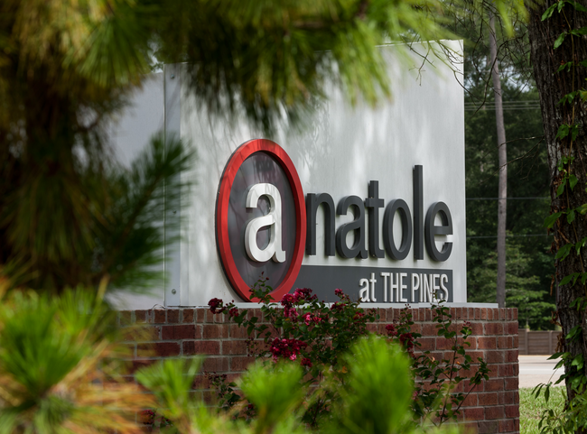 Foto del edificio - Anatole at The Pines Apartments