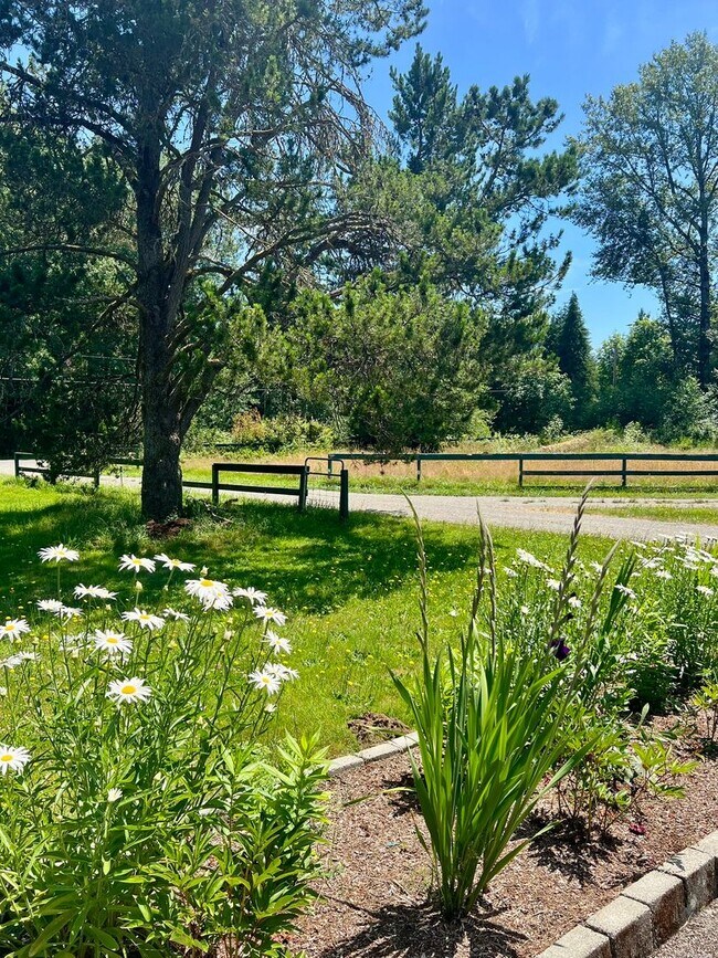 Building Photo - PENDING APPLICAITON; 3+ BD on 2 Acres - Barn Included