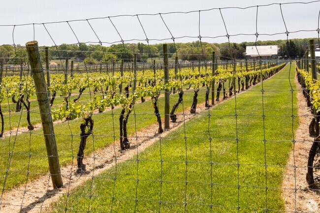 Channing Daughters Winery marks the East End east of Manorville.