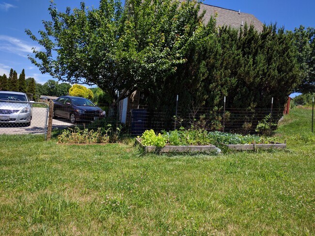 Foto del edificio - 709 Givens Ln