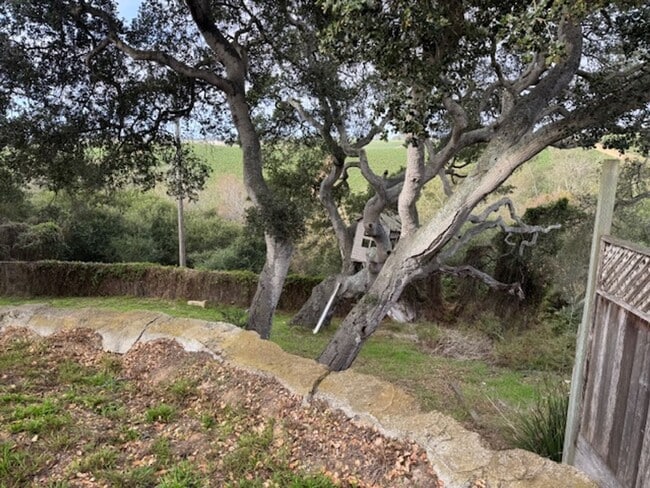 Foto del edificio - Oak Hills (15425)