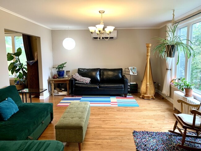 Building Photo - 7 Williams Heights Extension