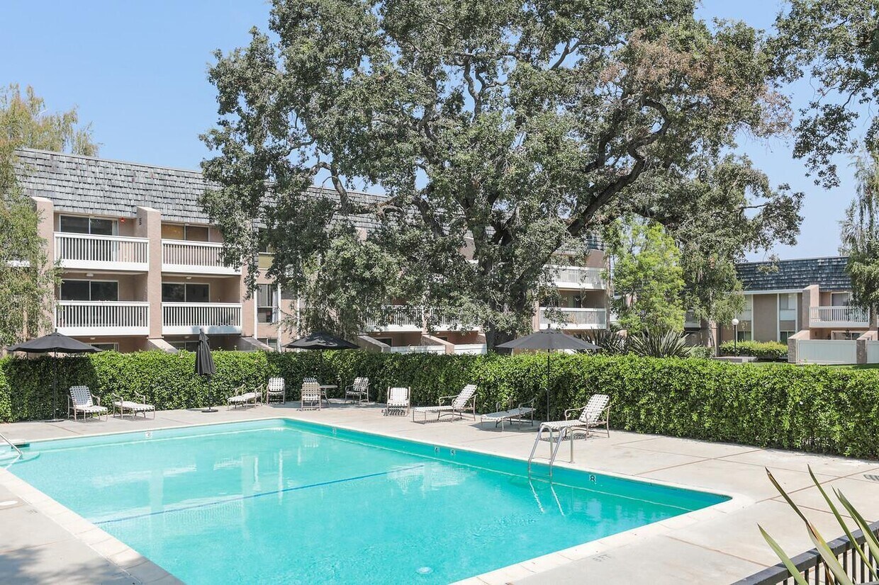 Foto principal - 675 Sharon Park Dr