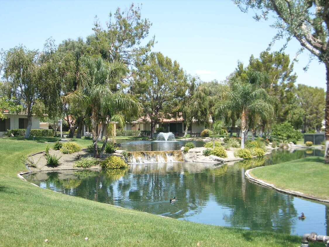 waterfall in front - 1200 N Sunrise Way