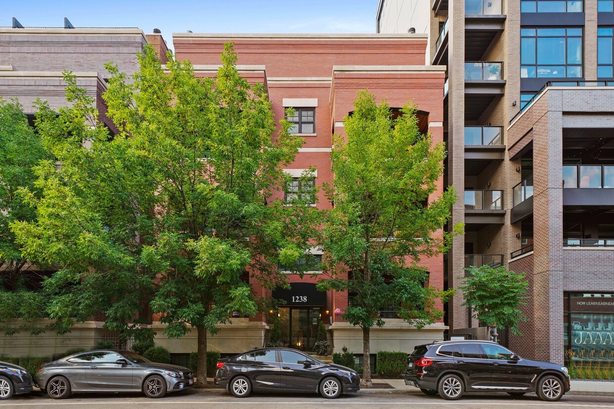 1238 W Jackson Blvd Unit 2E, Chicago, IL 60607 Condo for Rent in