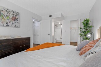 Interior Photo - Circle Sunrise