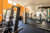 This fitness center offers a comprehensive workout environment designed to accommodate a wide range of exercise needs. The space is laid out across a single floor and features durable rubber flooring throughout, providing both safety and functionality for various training activities. The interior is brightened by natural light streaming through multiple windows, complemented by overhead fluorescent lighting that ensures the space remains well-lit at all times. Bold orange and teal accent walls add energy and visual interest to the otherwise neutral white surroundings, creating a motivating atmosphere.

The cardio zone is equipped with multiple treadmills and elliptical machines, along with a rowing machine for low-impact, full-body conditioning. A dedicated strength training area includes a cable machine, a multi-function Nautilus Instinct unit, a leg press, a spin bike, and a full dumbbell rack with a wall-mounted mirror and flat-screen TV. Structural columns are integrated throughout the layout, and a ceiling fan aids in air circulation. A wall-mounted air conditioning unit further supports comfort during intensive workouts.

Sanitation stations are conveniently positioned near the entrance area, along with posted facility rules. Large glass garage-style doors in one section of the space allow for open-air workouts and bring in ample outdoor views. Battle ropes and plyo boxes round out the functional training offerings, making this a versatile and fully outfitted fitness facility.