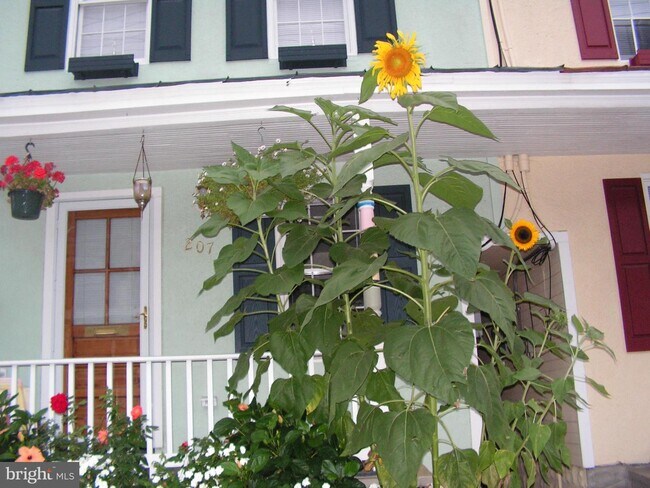 Building Photo - 207 Clay St