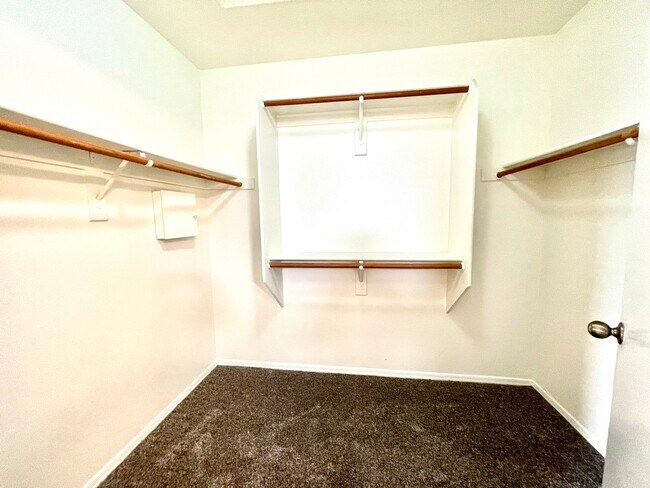 LARGE MASTER CLOSET - 4119 E Coolbrook Ave