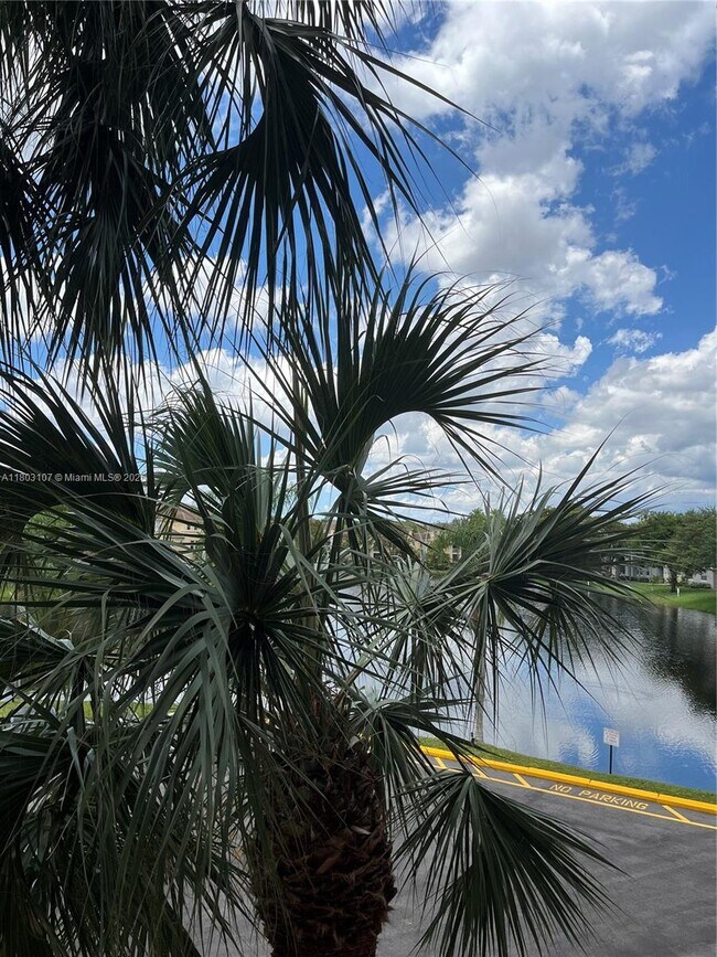 Foto del edificio - 250 Jacaranda Dr