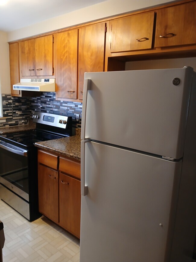 Kitchen - 40 Mallory Rd