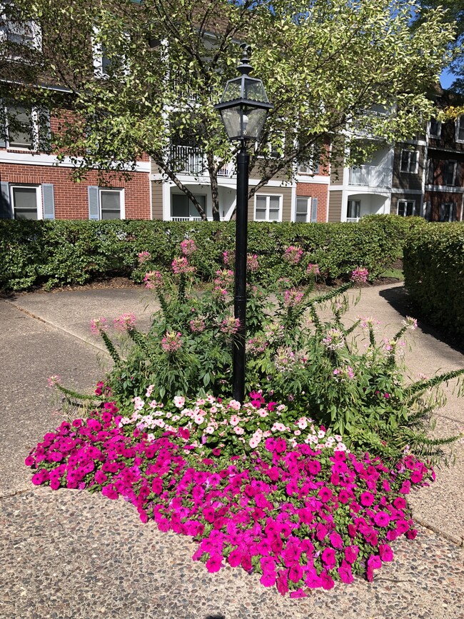 Flower Gardens - Edgerton Manor