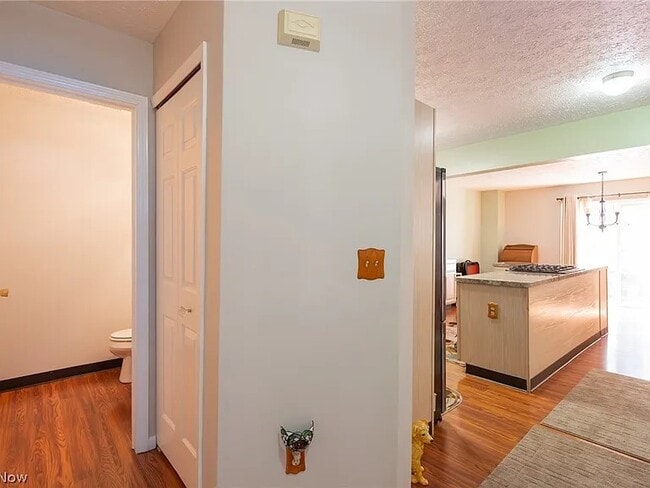 Building Photo - 54 Horseshoe Ct