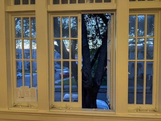 Large functional windows - 906 Wilson Dr