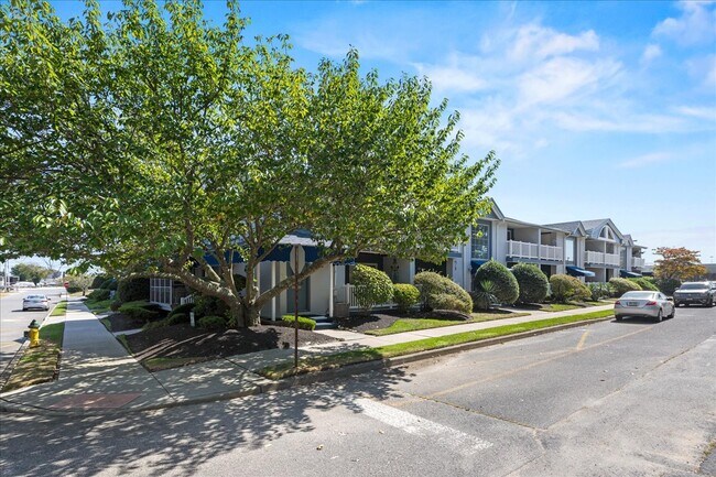 Foto del edificio - 532 Sunrise Ave
