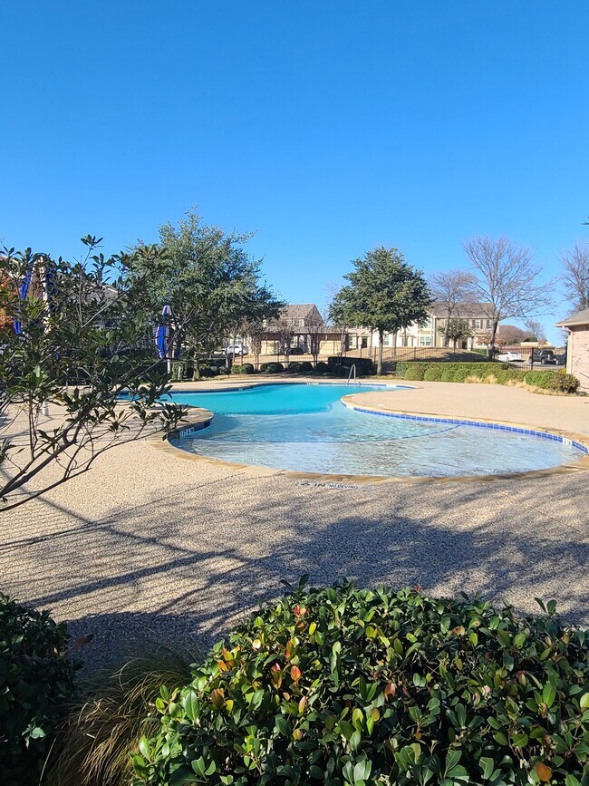 pool - 3037 Peyton Brook Dr
