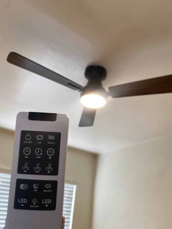 Building Photo - 10262 S Van Ness Ave