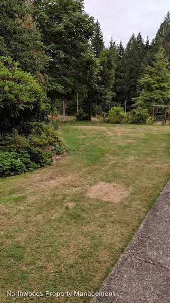 Foto del edificio - 3 br, 2 bath House - 36692 Parsons Creek Road