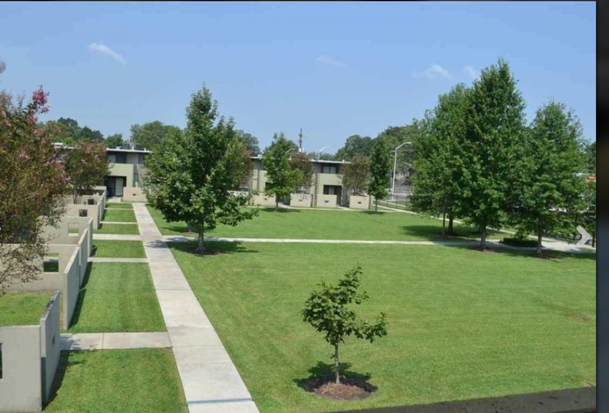 Yard - 1855 Brightside Dr