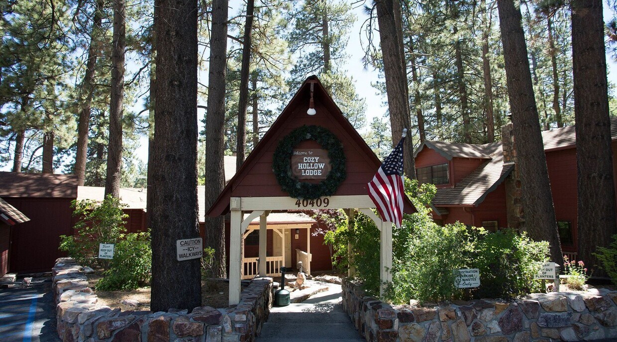 Primary Photo - Cozy Hollow Lodge