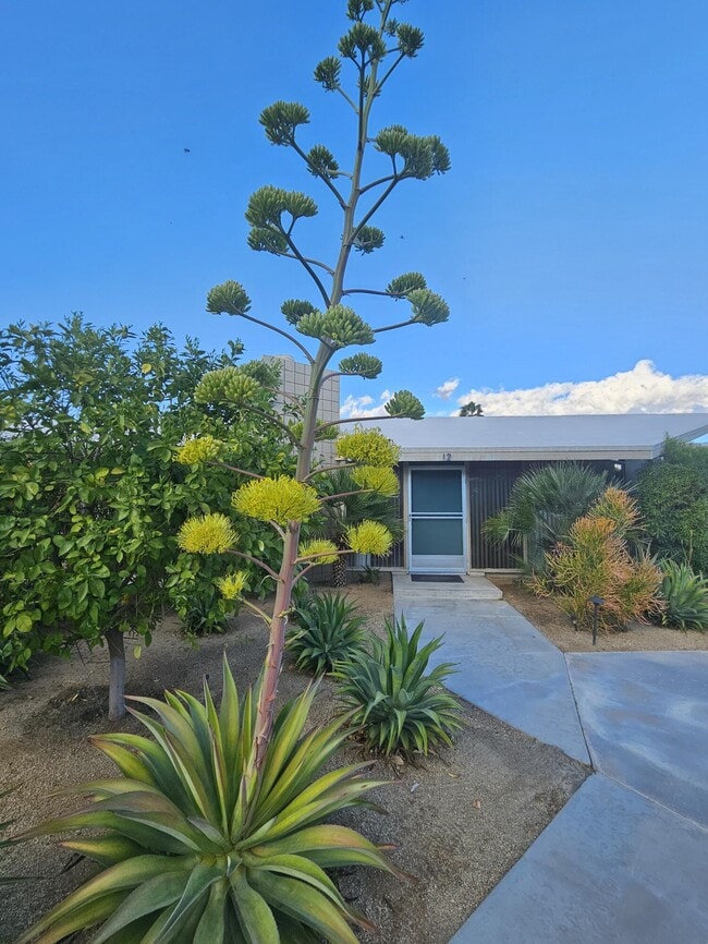 Building Photo - 37800 Da Vall Dr