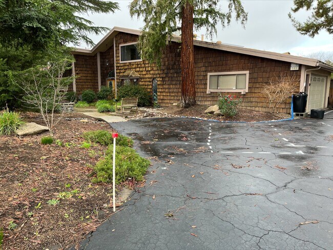 Fresno State Pine Tree Apartment - 4569 E Alamos Ave