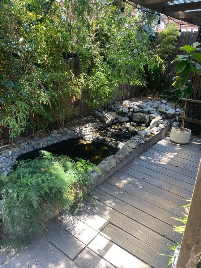 Koi pond - 2343 Yosemite Dr