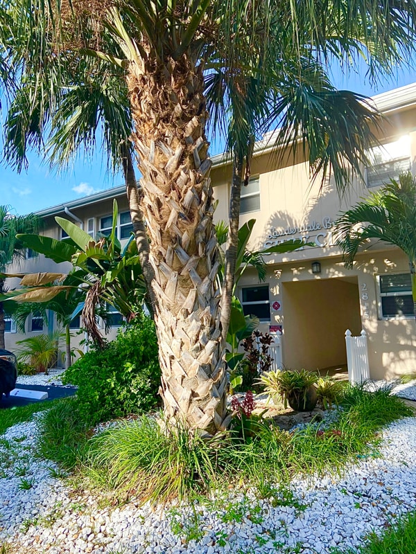 Photo - 2815 NE 33rd Ave (Fort Lauderdale, FL) Apartment
