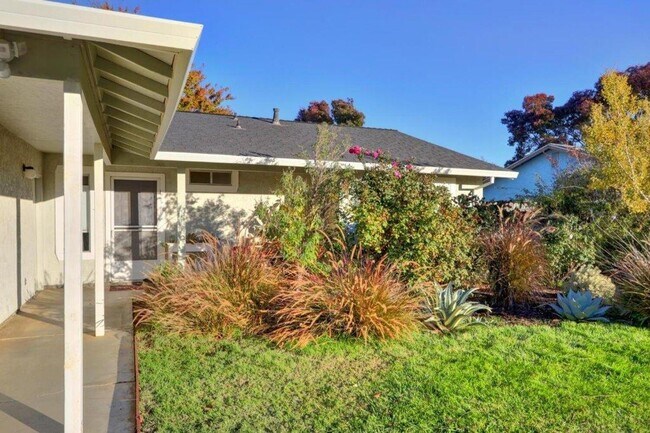 Foto del edificio - 3 br, 2 bath House - 905 Valley Oak Dr
