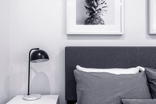 Interior Photo - Luna on Pine