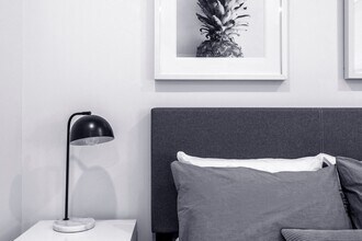 Interior Photo - Luna on Pine