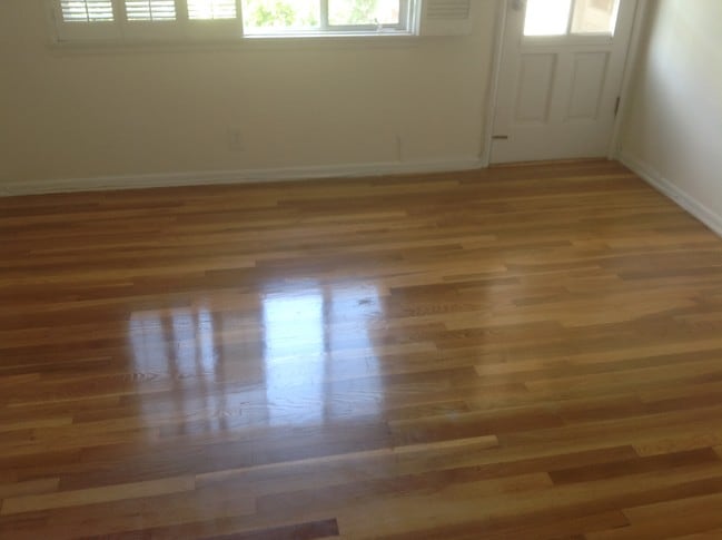 LIVING ROOM - 358 S Linden Dr