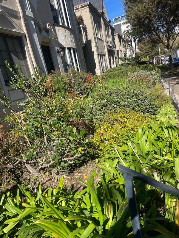 Foto principal - 7929 Blackburn Ave