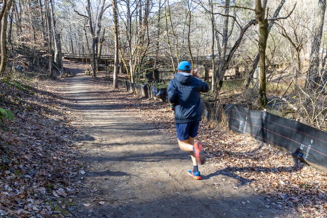 A runner enjoys the trails in the Hahn Woods area of Druid Hills.